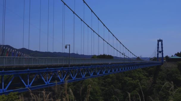 Карпы на большом мосту Рюдзин в Ибараки в солнечное время суток — стоковое видео
