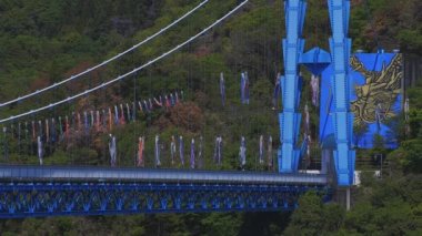 Ibaraki gündüz güneşli Ryujin büyük köprüde sazan flamalar