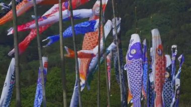 Ibaraki gündüz güneşli Ryujin büyük köprüde sazan flamalar