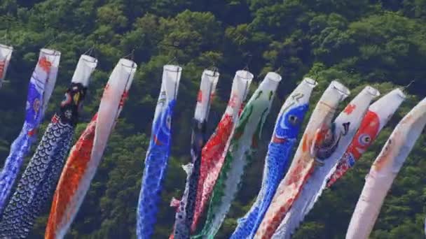 CARP streamers bij Ryujin Big Bridge in Ibaraki Sunny overdag — Stockvideo