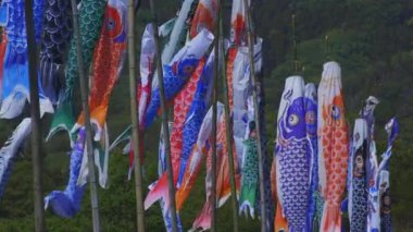 Ibaraki gündüz güneşli Ryujin büyük köprüde sazan flamalar