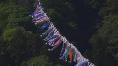 Ibaraki gündüz güneşli Ryujin büyük köprüde sazan flamalar