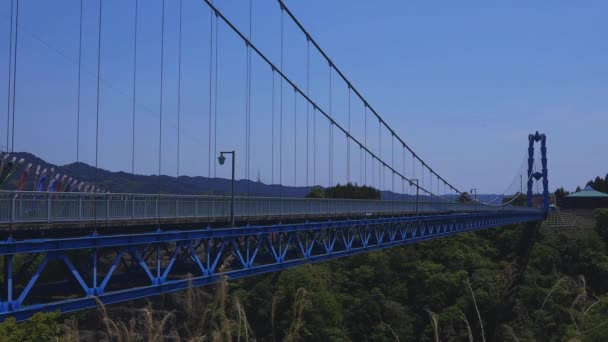 Karp streamers på Ryujin Big Bridge i Ibaraki dagtid Sunny — Stockvideo