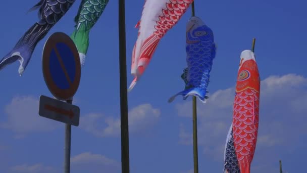 Riachos de carpa em Ryujin grande ponte em Ibaraki ensolarado durante o dia — Vídeo de Stock