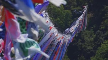 Ibaraki gündüz güneşli Ryujin büyük köprüde sazan flamalar