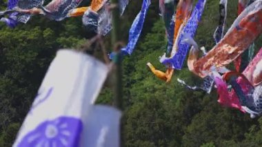 Ibaraki gündüz güneşli Ryujin büyük köprüde sazan flamalar