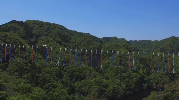 Carpe streamers à Ryujin grand pont à Ibaraki diurne ensoleillé plan large — Video