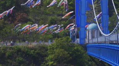 Ibaraki gündüz güneşli Ryujin büyük köprüde sazan flamalar