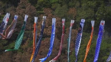 Ibaraki gündüz güneşli Ryujin büyük köprüde sazan flamalar