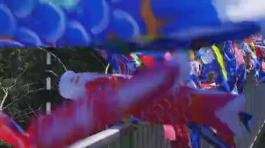 Ibaraki gündüz güneşli Ryujin büyük köprüde sazan flamalar