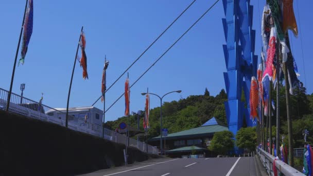 Carp streamers at Ryujin big bridge in Ibaraki daytime sunny wide shot — Stock Video
