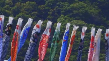 Ibaraki gündüz güneşli Ryujin büyük köprüde sazan flamalar