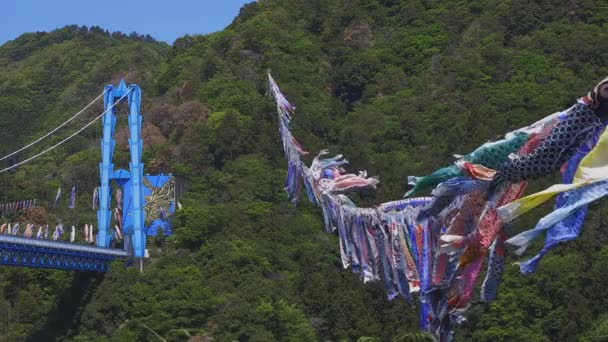 Serpentinas de carpa en Ryujin gran puente en Ibaraki soleado durante el día — Vídeos de Stock