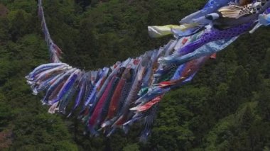 Ibaraki gündüz güneşli Ryujin büyük köprüde sazan flamalar