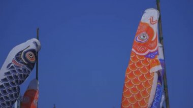 Ibaraki gündüz güneşli Ryujin büyük köprüde sazan flamalar