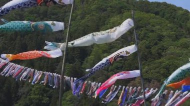 Ibaraki gündüz güneşli Ryujin büyük köprüde sazan flamalar