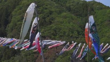 Ibaraki gündüz güneşli Ryujin büyük köprüde sazan flamalar