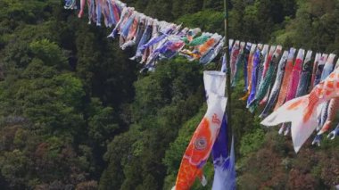 Ibaraki gündüz güneşli Ryujin büyük köprüde sazan flamalar