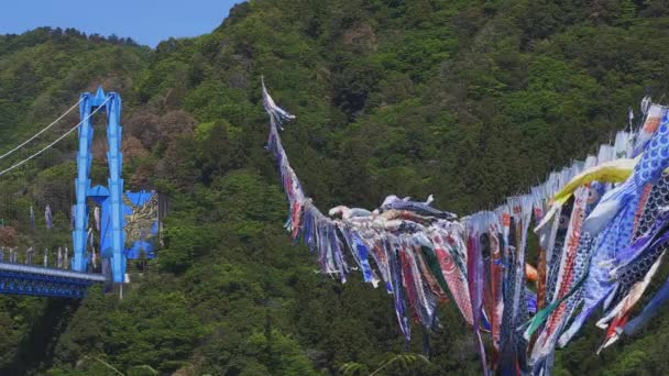 茨城鲁津大桥的鲤鱼溪流白天阳光明媚 — 图库视频影像