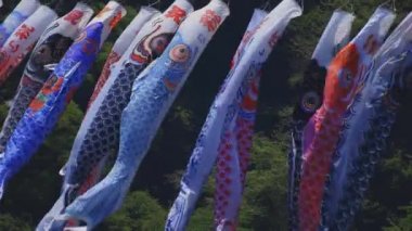 Ibaraki gündüz güneşli Ryujin büyük köprüde sazan flamalar