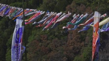 Ibaraki gündüz güneşli Ryujin büyük köprüde sazan flamalar