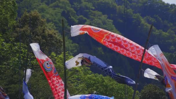 Karpfenluftschlangen an der Ryujin großen Brücke in Ibaraki tagsüber sonnig — Stockvideo