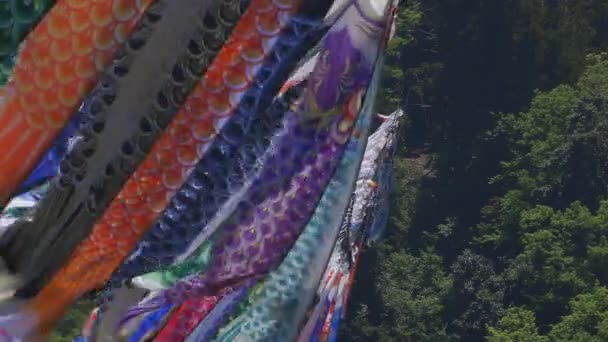 Serpentinas de carpa en Ryujin gran puente en Ibaraki soleado durante el día — Vídeo de stock