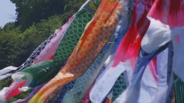 Karpiowe streamery w Ryujin duży most w Ibaraki dzień słoneczny — Wideo stockowe