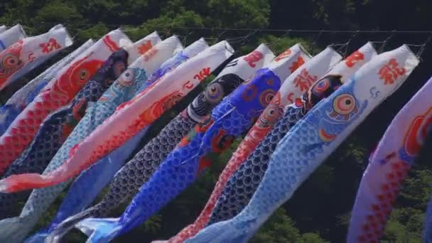 Carpe streamers à Ryujin grand pont à Ibaraki diurne ensoleillé — Video