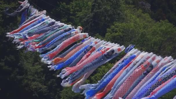 Riachos de carpa em Ryujin grande ponte em Ibaraki ensolarado durante o dia — Vídeo de Stock