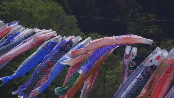 Bandiere di carpe a Ryujin grande ponte in Ibaraki giorno soleggiato — Video Stock