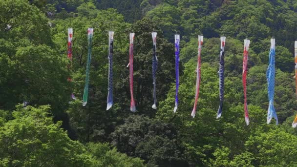 Riachos de carpa em Ryujin grande ponte em Ibaraki ensolarado durante o dia — Vídeo de Stock