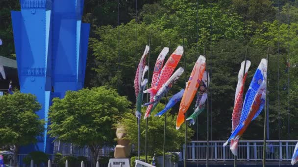 Serpentinas de carpa en Ryujin gran puente en Ibaraki soleado durante el día — Vídeos de Stock