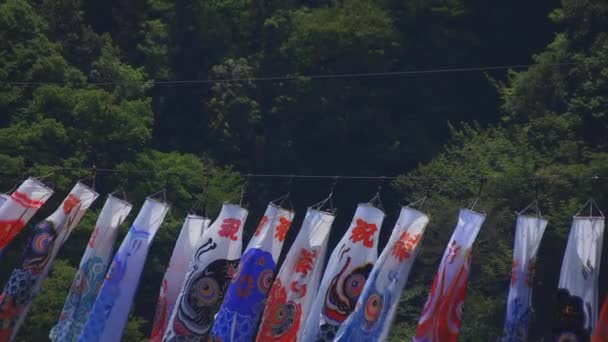 Carpe streamers à Ryujin grand pont à Ibaraki diurne ensoleillé — Video