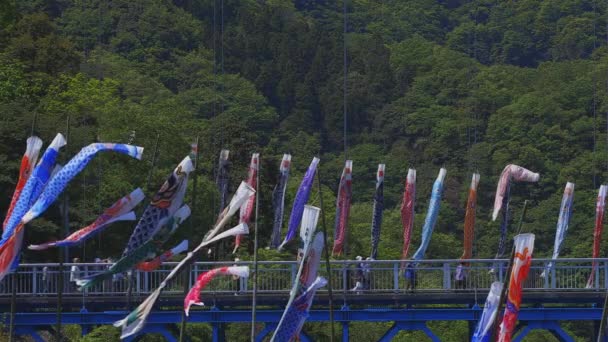 Karp streamers på Ryujin Big Bridge i Ibaraki dagtid Sunny — Stockvideo
