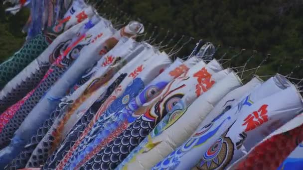 Kapr se na velkém mostě na Ryujin v Ibaraki svítí ve dne — Stock video