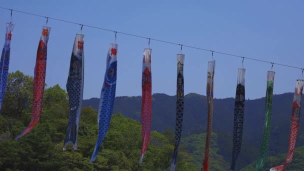 茨城の龍神大橋で鯉のぼりが昼間晴れ — ストック動画