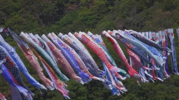 CARP streamers bij Ryujin Big Bridge in Ibaraki Sunny overdag — Stockvideo