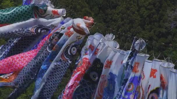 Riachos de carpa em Ryujin grande ponte em Ibaraki ensolarado durante o dia — Vídeo de Stock