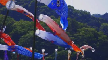 Ibaraki gündüz güneşli Ryujin büyük köprüde sazan flamalar