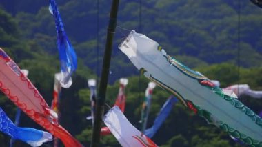 Ibaraki gündüz güneşli Ryujin büyük köprüde sazan flamalar