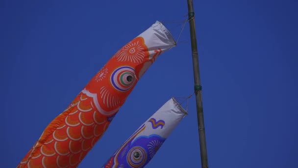 CARP streamers bij Ryujin Big Bridge in Ibaraki Sunny overdag — Stockvideo