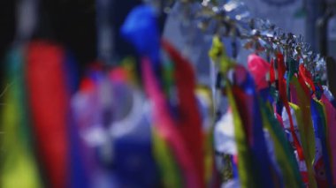 Ibaraki gündüz güneşli Ryujin büyük köprüde sazan flamalar