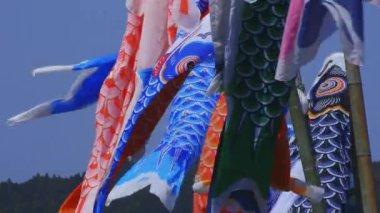 Ibaraki gündüz güneşli Ryujin büyük köprüde sazan flamalar