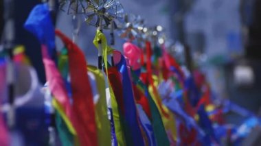 Ibaraki gündüz güneşli Ryujin büyük köprüde sazan flamalar