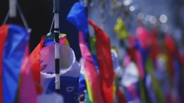 Ibaraki gündüz güneşli Ryujin büyük köprüde sazan flamalar