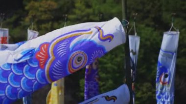 Ibaraki gündüz güneşli Ryujin büyük köprüde sazan flamalar