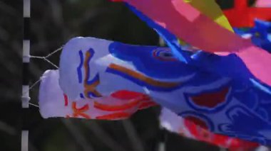 Ibaraki gündüz güneşli Ryujin büyük köprüde sazan flamalar