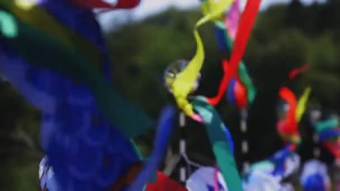 Ibaraki gündüz güneşli Ryujin büyük köprüde sazan flamalar