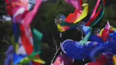 Ibaraki gündüz güneşli Ryujin büyük köprüde sazan flamalar